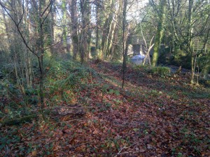 A bank of earth was preventing the woodland from flooding.